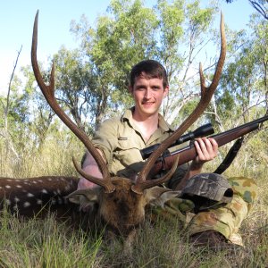 Chital Deer Hunting Australia