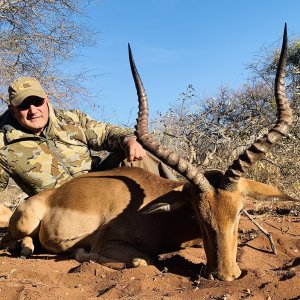 Impala Hunting Limpopo South Africa