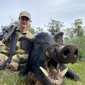 Pig Hunting Australia