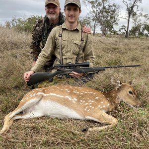 Chital Deer Hunting Australia