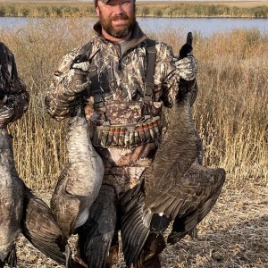 Duck Hunting South Dakota