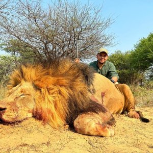 Lion Hunt South Africa | AfricaHunting.com