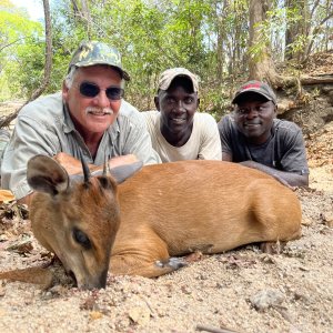 Red Duiker Hunt Mozambique