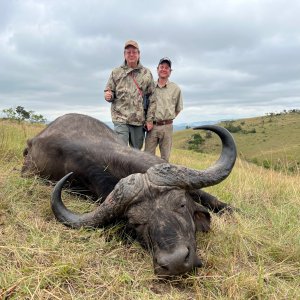 Buffalo Hunting South Africa