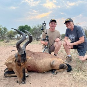 Red Hartebeest Bow Hunt South Africa