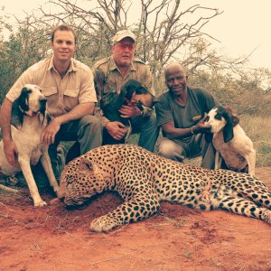 Leopard Hunting Mozambique