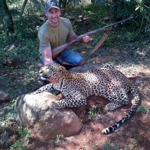 Leopard Hunting Mozambique | AfricaHunting.com