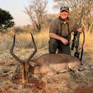 Impala Hunt South Africa