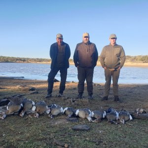 Waterfowl Hunting Namibia