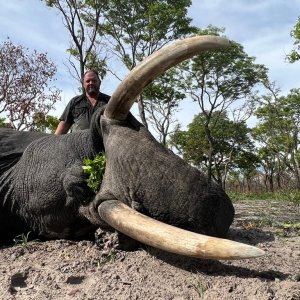 Elephant Hunting Namibia