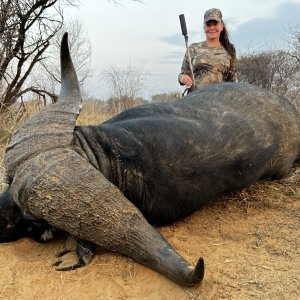 Buffalo Hunt South Africa