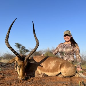 Impala Hunt South Africa