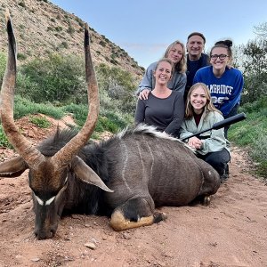 Nyala Hunt Karoo South Africa