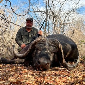 Buffalo Hunting