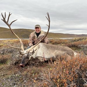 Caribou Hunt Greenland