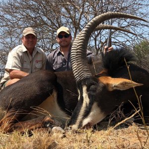 Sable Hunting South Africa