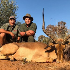 Impala Hunting South Africa