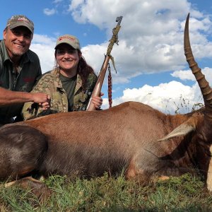 Blesbok Hunting South Africa