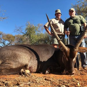 Waterbuck Hunting South Africa