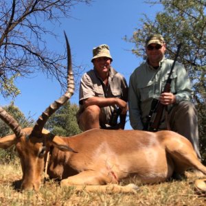 Impala Hunting South Africa