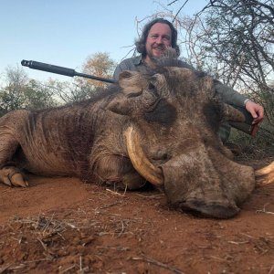 Warthog Hunting South Africa