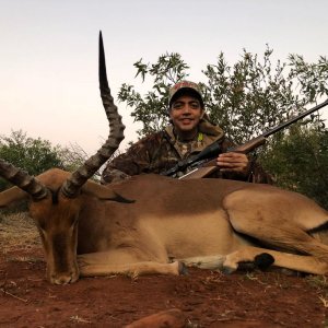 Impala Hunting South Africa