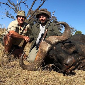 Buffalo Hunting South Africa