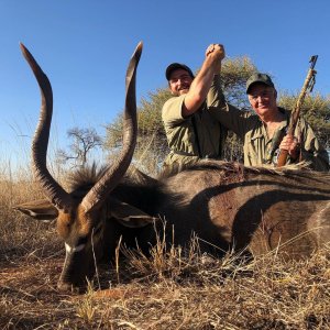 Nyala Hunting South Africa