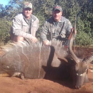 Nyala Hunting South Africa