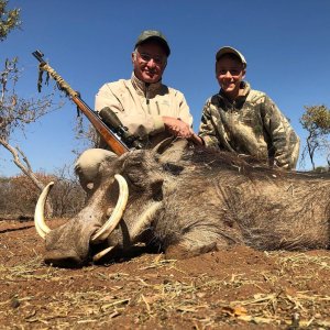 Warthog Hunting South Africa