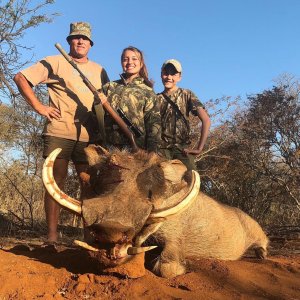 Warthog Hunting South Africa