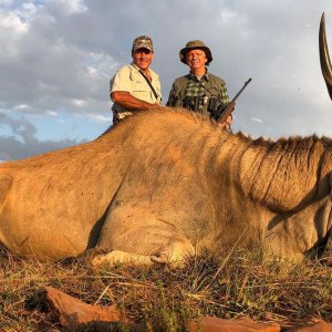 Eland Hunting South Africa