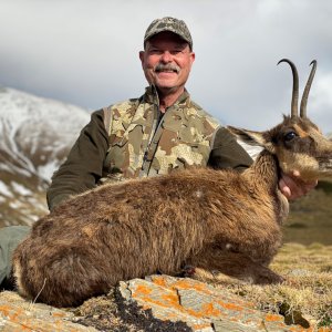 Chamois Hunting Pyrenees Mountains Spain