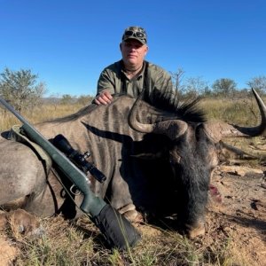 Blue Wildbeest Hunting South Africa