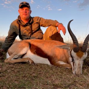 Springbok Hunting South Africa