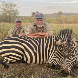 Zebra Hunting Tanzania