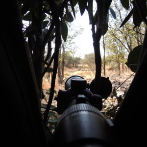 Leopard Blind Namibia