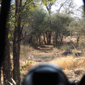 Leopard Blind Namibia