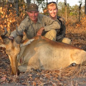 Lichtenstein Hartebeest Hunting Mozambique