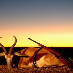 Springbok Hunting Namibia