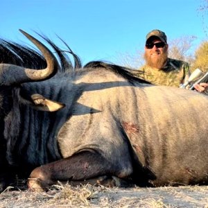 Blue Wildebeest Hunt South Africa