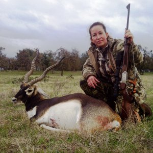 Blackbuck Hunting