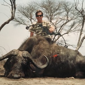 Hunting Cape Buffalo With Bow
