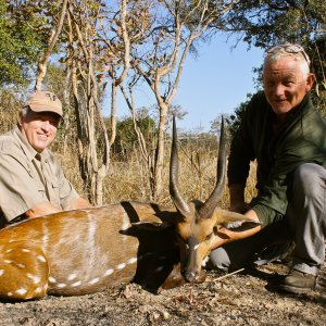 Bushbuck Hunt Zambia