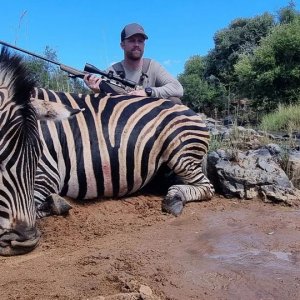 Zebra Hunt South Africa