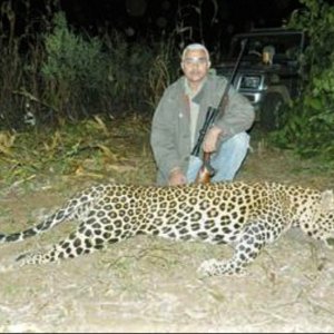 Leopard Hunting India