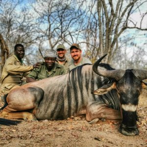 Niassa Wildebeest Hunt Mozambique