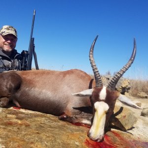 Blesbok Hunting South Africa