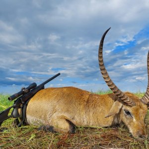 Lechwe Hunting Bwabwata West Namibia