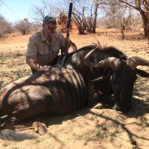 30 Inch Blue Wildebeest